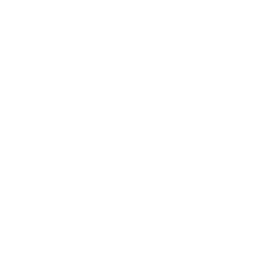 Express shipping options